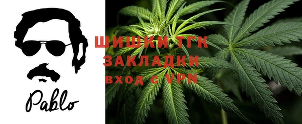 ECSTASY Осинники