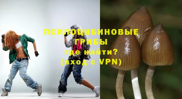 ECSTASY Осинники