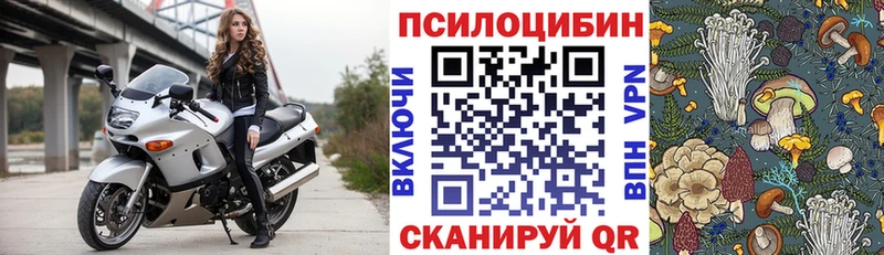 Псилоцибиновые грибы GOLDEN TEACHER  наркотики  Новосибирск 
