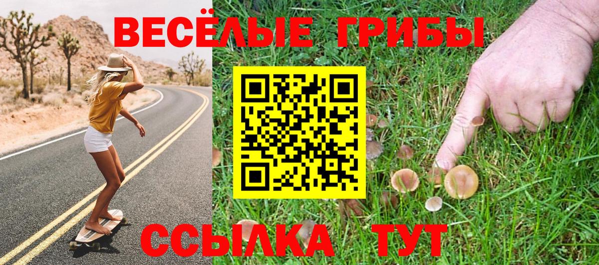 Новосибирск  Галлюциногенные грибы Psilocybine cubensis  Вход с VPN 